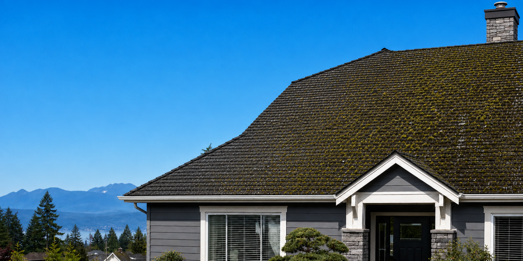 Moss growth progression on an asphalt shingle roof before PandaCare cleaning and rejuvenation